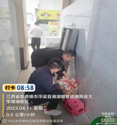 c32d198497ece0421d506d00d28e917